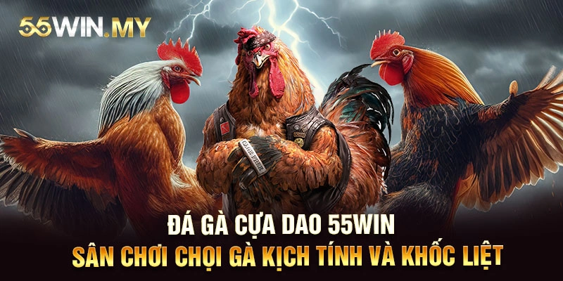 Đá gà cựa dao 55WIN - Sân chơi chọi gà kịch tính và khốc liệt